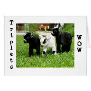 CARTÃO TRIPLETS=WOW=FANTÁSTICO