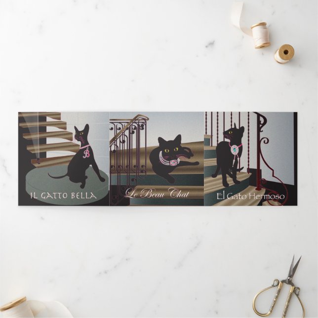 Cartão triplo Bella Cat 10-12 (Fora)