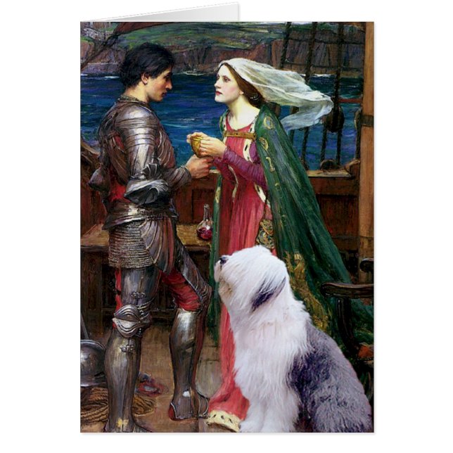 Cartão Tristam e Isolda-Old English Sheepdog 1 (Frente)