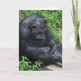 Cartão triste chimpanzé fique bem tranquilo