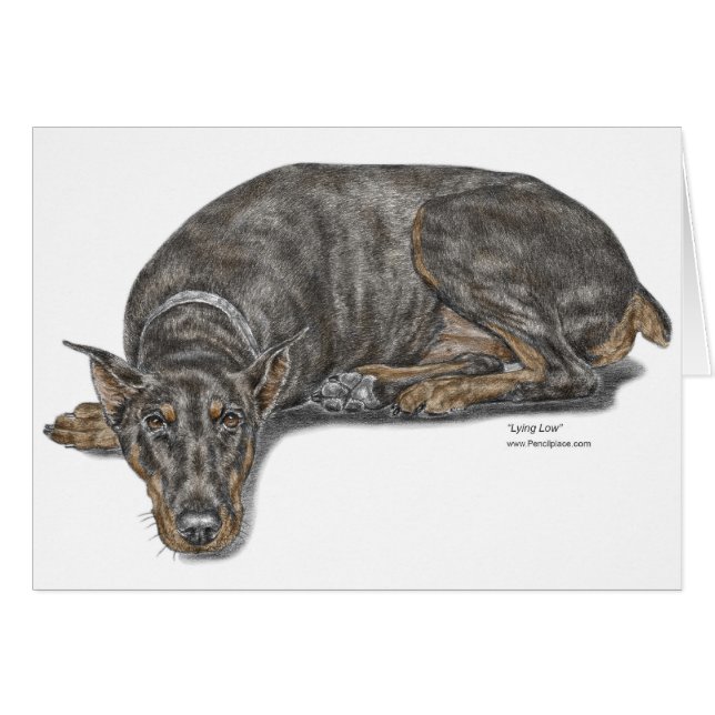 Cartão Triste Culpado, Procurando Doberman (Frente Horizontal)