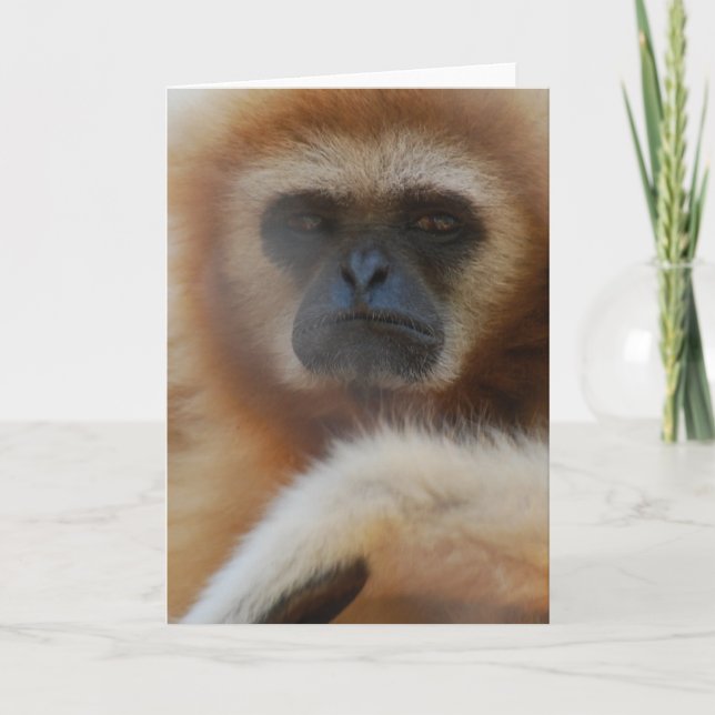 Cartão triste do Gibbon (Frente)