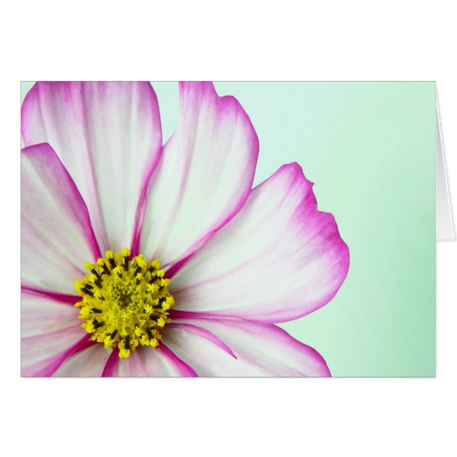 Cartão Tritmado a rosa (Frente Horizontal)