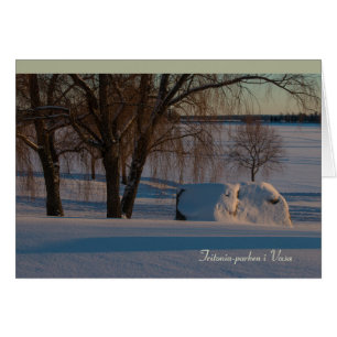 Cartão Tritonia-parken mim vasos Vaasa Finlandia CC0837