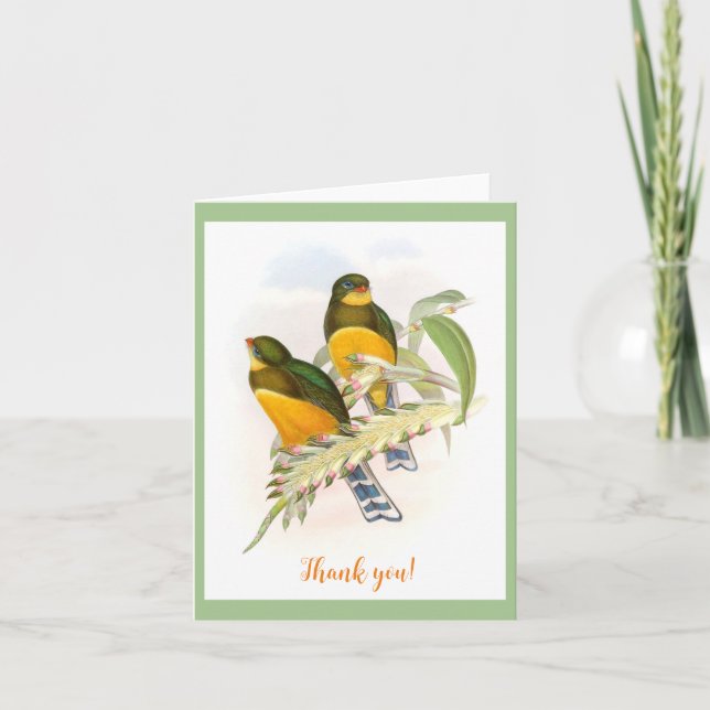 Cartão Trogon de Macklot (1850-1883)  (Frente)