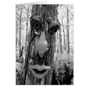 Cartão Troll da árvore em uma árvore Big Cypress.