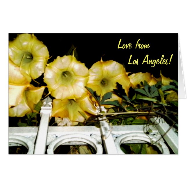 Cartão Trompete na Noite 1b (Frente Horizontal)