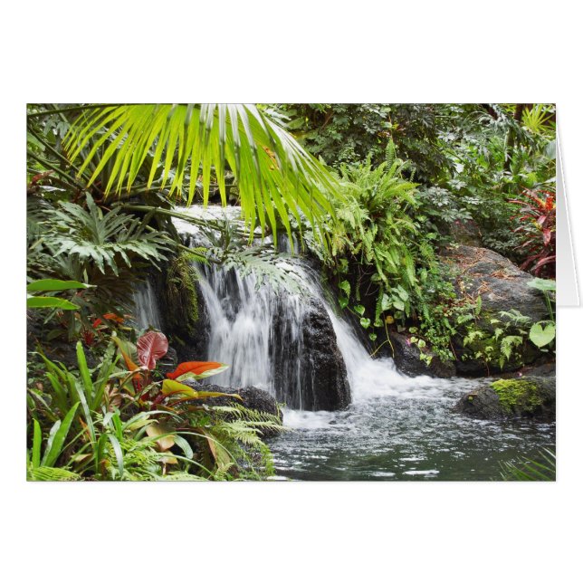 Cartão Tropical (Frente Horizontal)