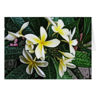 Cartão tropical do Plumeria
