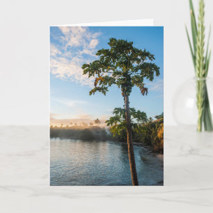 Cartão Tropical Paradise At Sunset, Fiji