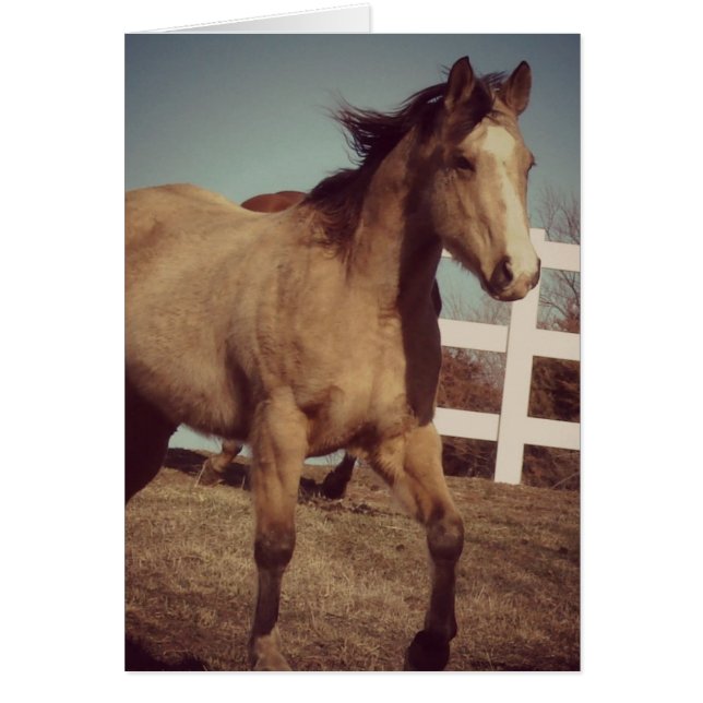 Cartão Trotes de Cavalo de Pele-Inglesa (Frente)