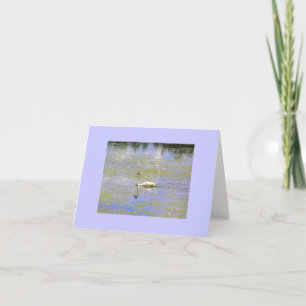 Cartão Trumpeter Swan Note Cards