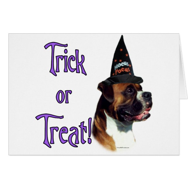 Cartão Truque de Boxer (Frente Horizontal)