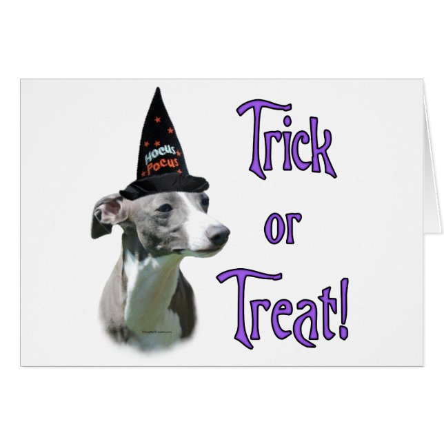 Cartão Truque de Greyhound Italiano (Frente Horizontal)