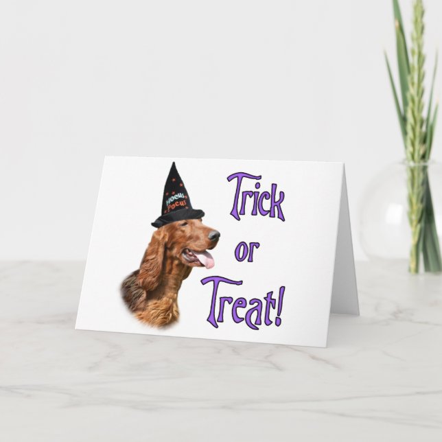 Cartão Truque do setter irlandês (Frente)