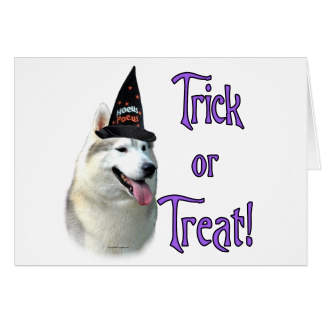 Cartão Truque Siberian Husky (Frente Horizontal)