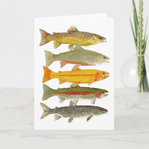 Cartão Truta comum de Pensilvânia