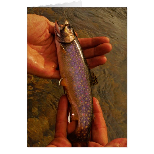 Cartão Truta em Mãos (Frente)