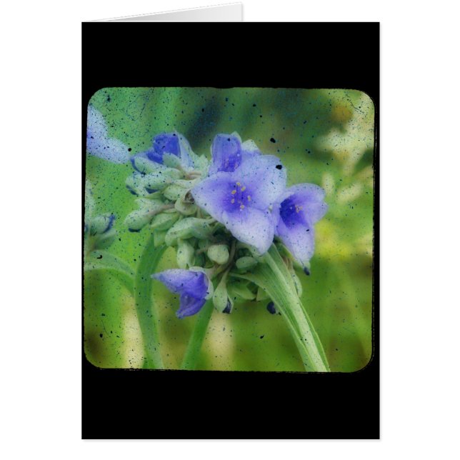 Cartão TTV Floral Roxo (Frente)
