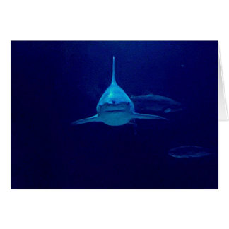 Cartão Tubarão