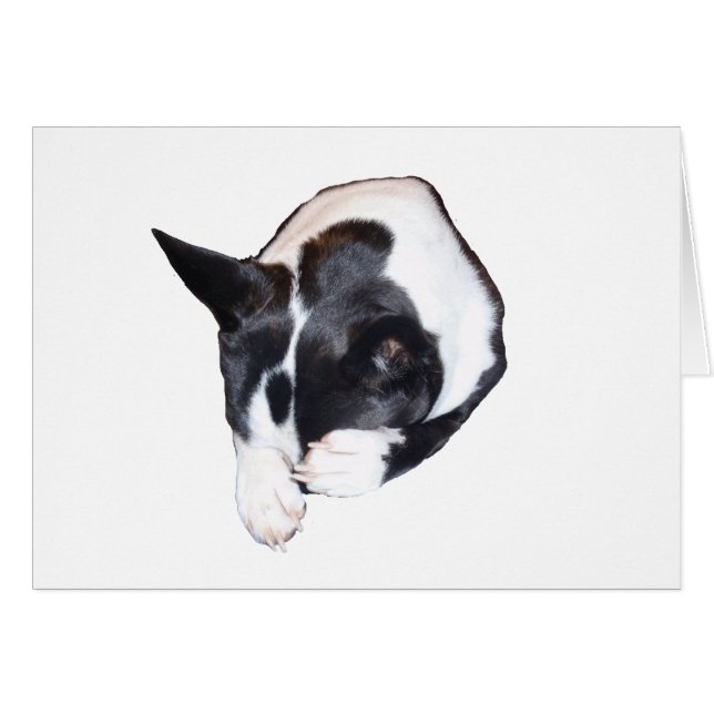 Cartão Tubo - Dormir (Frente Horizontal)