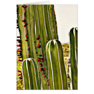 Cartão Tubulação do fogão na flor