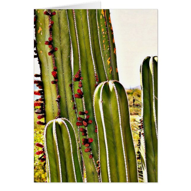 Cartão Tubulação do fogão na flor (Frente)