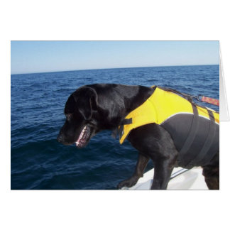 Cartão Tucker em caninos Labrador da conservação do