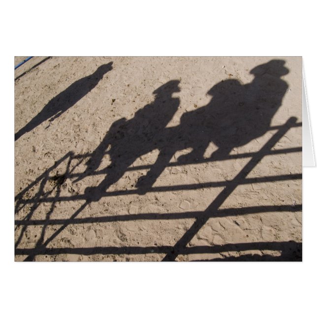Cartão Tucson, Arizona: Sombras de competidores de Rodeio (Frente Horizontal)