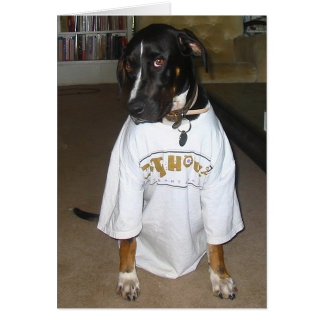 Cartão Tula (Frente)