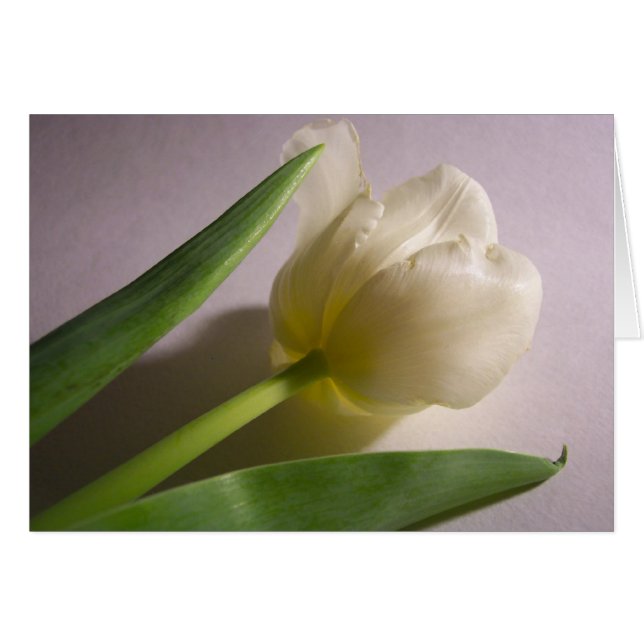 Cartão Tulip (Frente Horizontal)