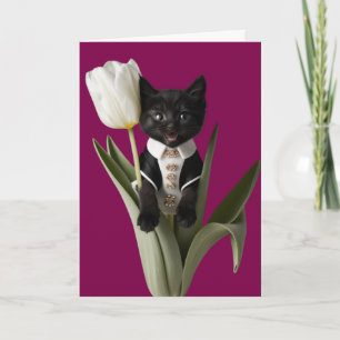 Cartão Tulip de Gato Negro