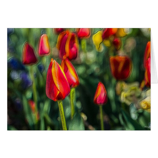 Cartão Tulip Garden Texturizado (Frente horizontal)