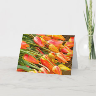 Cartão Tulip Greeting Card