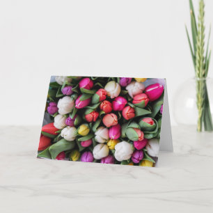 Cartão Tulip Primavera Saudação