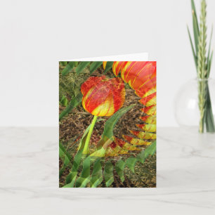 Cartão Tulipa Banida......