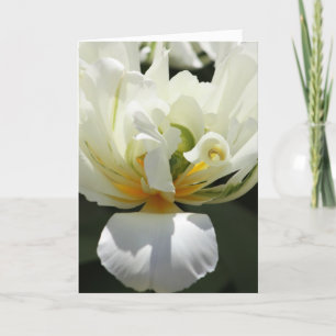 Cartão Tulipa branca