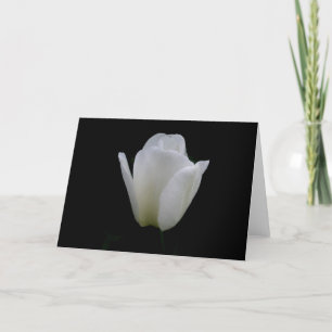 Cartão Tulipa branca