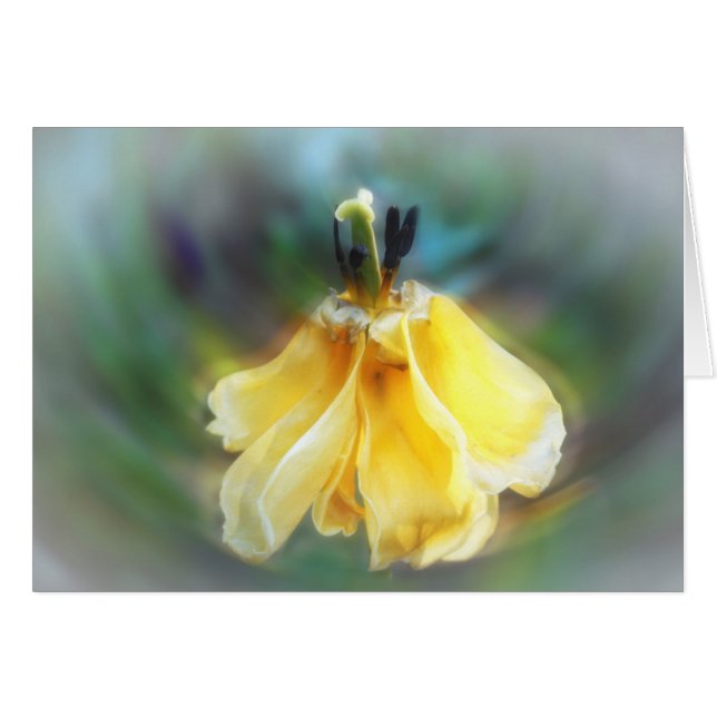 Cartão Tulipa da dança (Frente Horizontal)