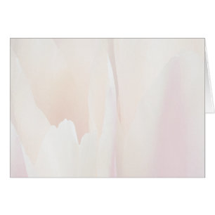 Cartão Tulipa da tulipa