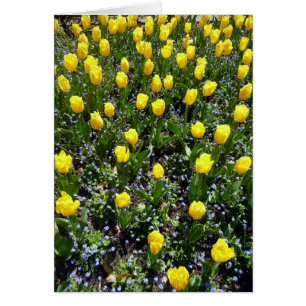 Cartão tulipa de flores amarelas
