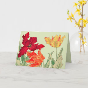 Cartão tulipa de papagaio, Aniversário Floral