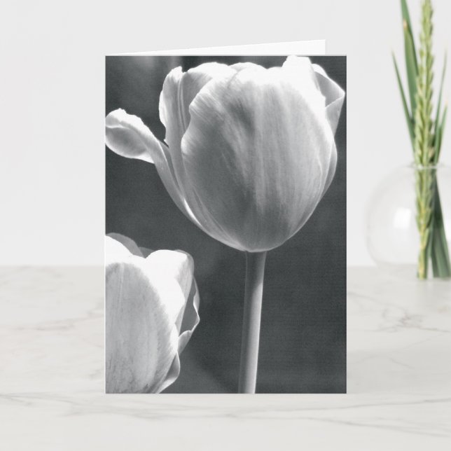 Cartão Tulipa em preto e branco (Frente)