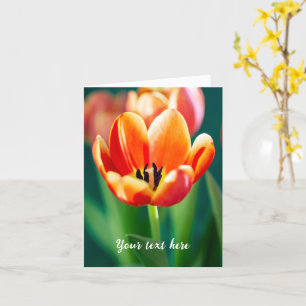 Cartão Tulipa Laranja