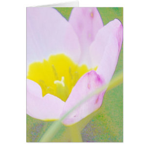 Cartão tulipa púrpura leve