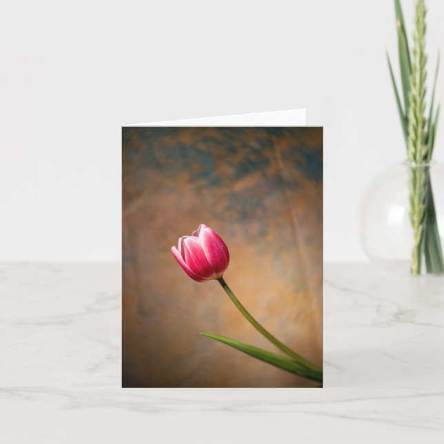 Cartão Tulipa Rosa com um Toque (Frente)