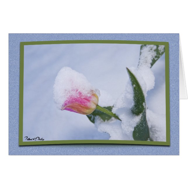 Cartão Tulipa Rosa Nevada de Você Modelo de Primavera (Frente Horizontal)