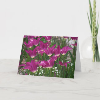 Cartão Tulipa Roxa