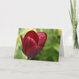 Cartão Tulipa vermelho escuro