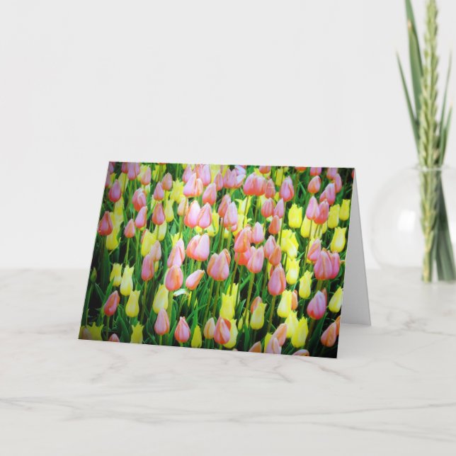Cartão tulipas (Frente)